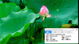 戰(zhàn)國美少女1斬斷云空下載 