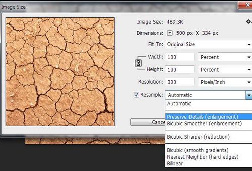 圖像的無損縮放