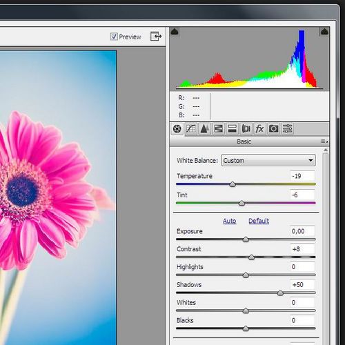 調(diào)圖利器！Adobe Camera Raw