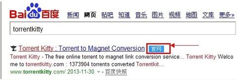 torrentkitty怎么用