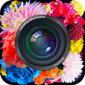 Cameran蜷川實(shí)花相機(jī) v3.0.0 安卓版 