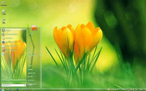 郁金香電腦主題