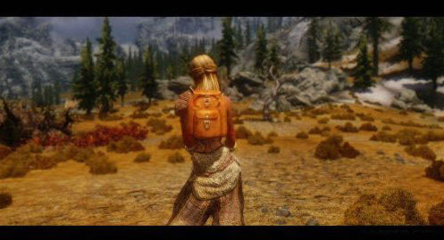 上古卷軸5背包mod