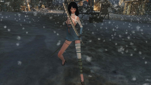 上古卷軸5單手劍mod