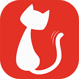 本地貓 v1.0.0 安卓版 
