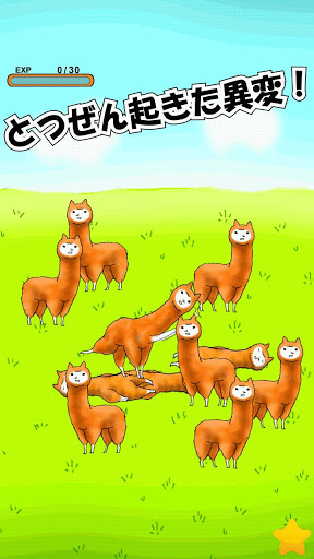 羊駝兄貴安卓版