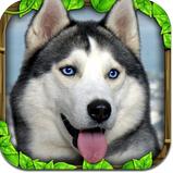 流浪狗模擬器Stray Dog Simulator v1.4 安卓版 