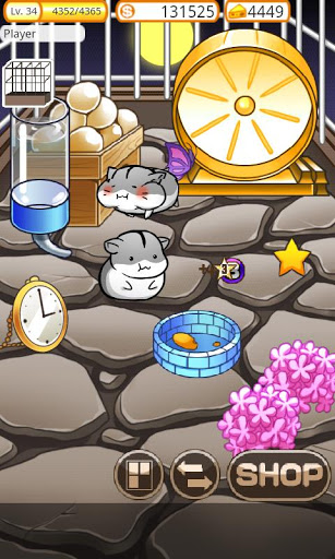 倉(cāng)鼠的日常 v3.8.1 安卓版圖4