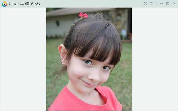 RTX頭像顯示插件