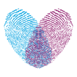 真巧 v1.1.6 最新手機版 