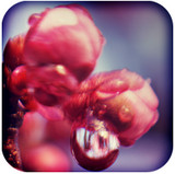 逃脫游戲久遠的約定 v1.2 最新手機版 