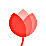 好看一圖 v2.0.1 安卓版 