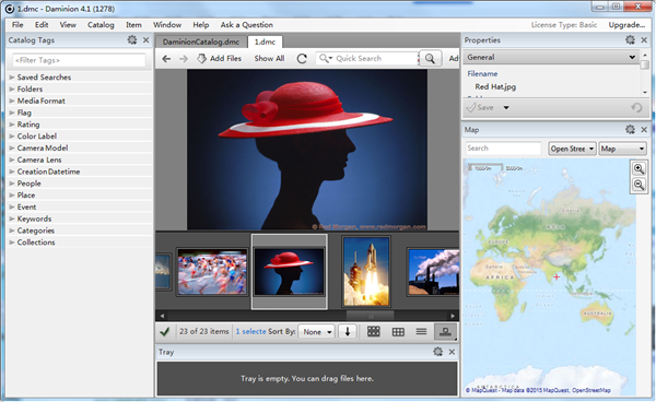 Daminion Standalone Basic v4.1.0.1278 破解版圖1
