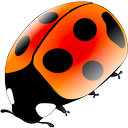 Coccinellida V0.6.1 Mac版