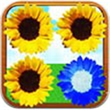 葵花寶點下載 v1.3 安卓版 