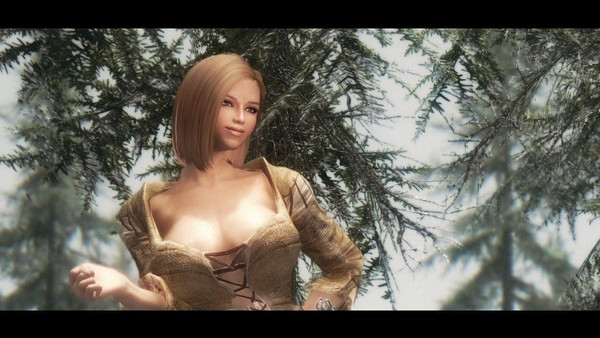 上古卷軸5圣騎士隨從艾莉瑟拉MOD