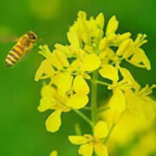 紛享平臺 v2.1.0 安卓版 