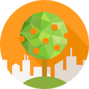 Studiometry Mac版 V12.5 最新版 