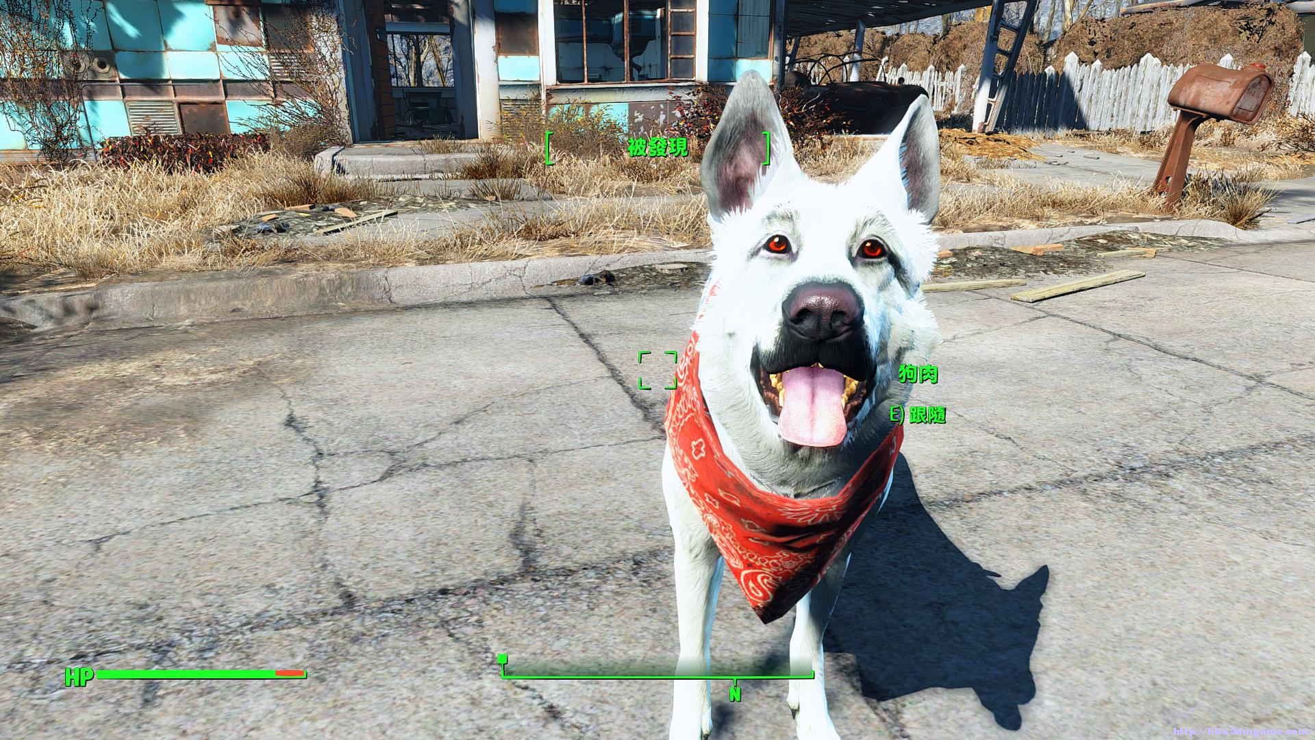 輻射4白色狗肉mod