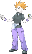 口袋妖怪葉綠386