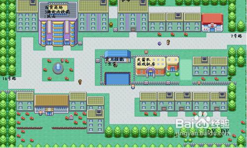 口袋妖怪葉綠386