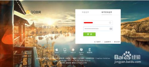 星號(hào)密碼查看器