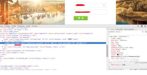 星號(hào)密碼查看器