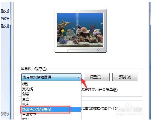 熱帶魚(yú)屏保下載