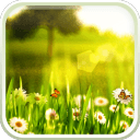 春天動態(tài)壁紙下載 V1.46 安卓版 