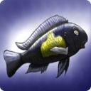移動魚庫app下載 v1.86 安卓版 