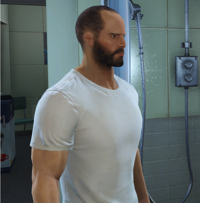 輻射4杰森斯坦森捏臉