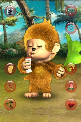 會說話的可愛小猴子