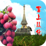 掌上從化app v9.0 安卓版 