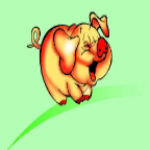 跑跑小豬 v1.0 安卓版 