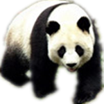 熊貓文件批量改名工具 2.3 官方版 