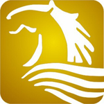 金駿倉(cāng)庫(kù)租賃管理系統(tǒng) v2.35 綠色版 