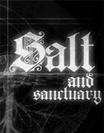 鹽和避難所reshade畫面插件 綠色版 