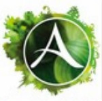 上古世紀(jì)天賦模擬器 v1.0 免費(fèi)版 