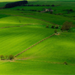 護眼壁紙桌面高清版 免費版 