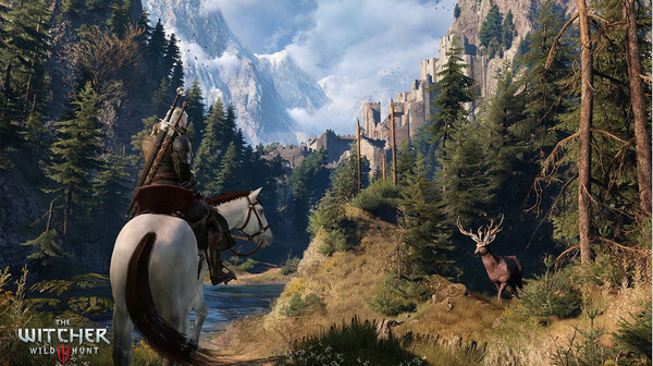 巫師3道具欄修正補(bǔ)丁