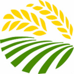 麥田計劃app v1.0.0.77 安卓版 