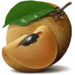 Chikoo for Mac文件管理 1.1 官方版 