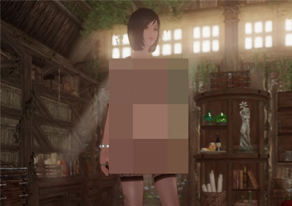 上古卷軸5蕾絲內(nèi)衣MOD