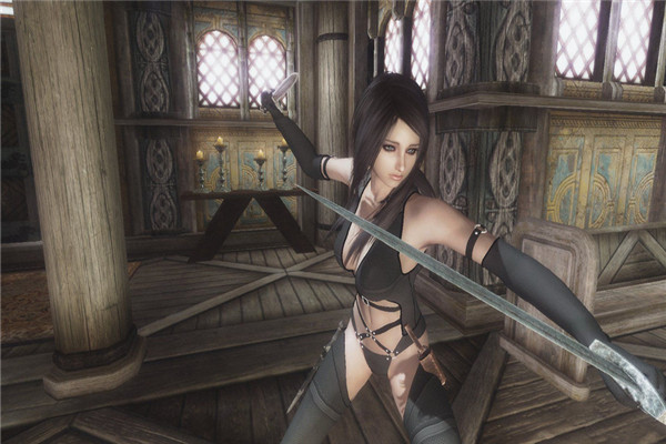 上古卷軸5暗影貓護(hù)甲