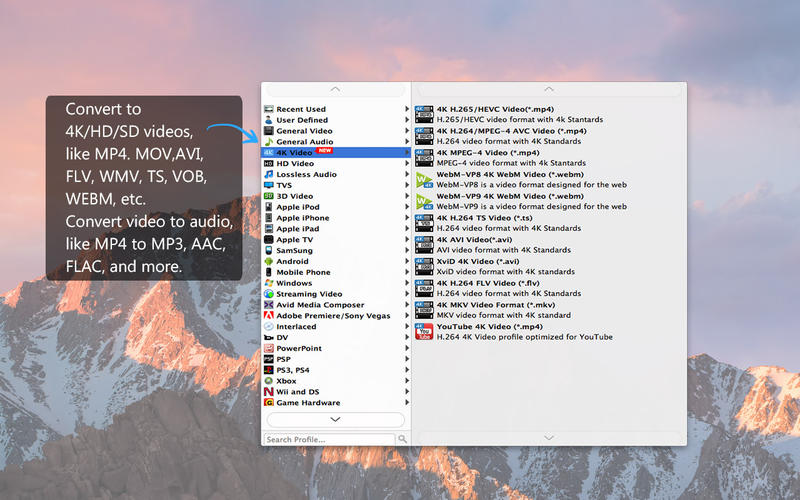 Video Converter Platinum