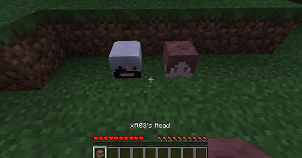 我的世界萬用皮膚補(bǔ)丁