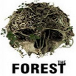 森林0.42c 中文版 