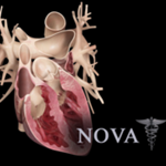 Heart Pro III for mac V3.8 正式版 