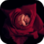 愛嬰坊 v2.3 安卓版 