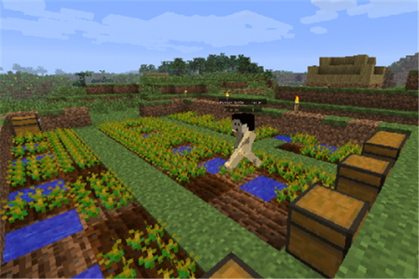 我的世界中世紀(jì)村莊mod